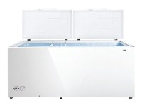 Hisense FC-66DD4SA Refrigerator larawan, katangian