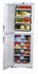Liebherr BGNDes 2986 Refrigerator \ katangian, larawan