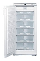Liebherr GSN 2423 Холодильник фото, Характеристики