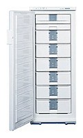 Liebherr GSN 2926 Refrigerator larawan, katangian