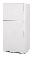 General Electric TBG25PAWW Refrigerator larawan, katangian