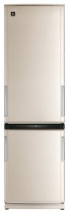Sharp SJ-WP371TBE ตู้เย็น รูปถ่าย, ลักษณะเฉพาะ