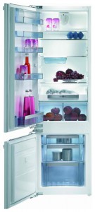 Gorenje RKI 55295 Холодильник Фото, характеристики