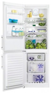 Zanussi ZRB 34338 WA Холодильник фото, Характеристики