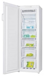LGEN TM-169 FNFW Холодильник Фото, характеристики