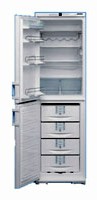 Liebherr KGT 3946 Refrigerator larawan, katangian