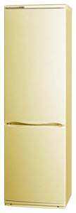 ATLANT ХМ 6026-081 Холодильник фото, Характеристики