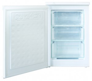 AVEX BDL-100 Refrigerator larawan, katangian