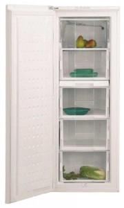 BEKO FSE 21920 Tủ lạnh ảnh, đặc điểm