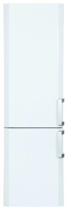 BEKO CS 238021 Tủ lạnh ảnh, đặc điểm