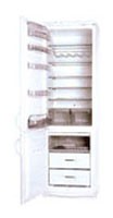 Snaige RF390-1763A Buzdolabı fotoğraf, özellikleri