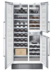 Gaggenau RW 496-250 Холодильник Фото, характеристики