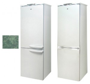 Exqvisit 291-1-C9/1 Refrigerator larawan, katangian