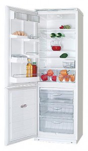 ATLANT ХМ 6019-001 Refrigerator larawan, katangian