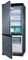 Snaige RF270-1671A Холодильник Фото, характеристики