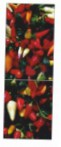 Snaige RF36SM-S10021 36-26 Tủ lạnh \ đặc điểm, ảnh
