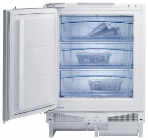 Gorenje FIU 6108 W Холодильник Фото, характеристики
