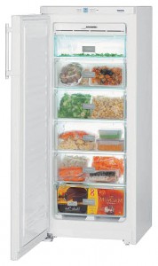 Liebherr GN 2303 Холодильник фото, Характеристики