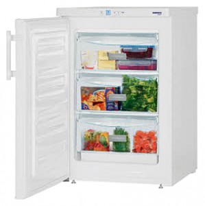 Liebherr GP 1213 Refrigerator larawan, katangian