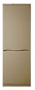 ATLANT ХМ 4012-150 Tủ lạnh ảnh, đặc điểm