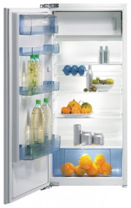 Gorenje RBI 51208 W Холодильник Фото, характеристики