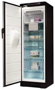 Electrolux EUFG 2900 X Ψυγείο φωτογραφία, χαρακτηριστικά
