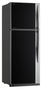 Toshiba GR-RG59FRD GU Ψυγείο φωτογραφία, χαρακτηριστικά