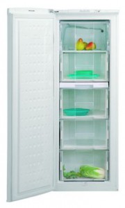 BEKO FSE 21300 冰箱 照片, 特点
