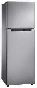 Samsung RT-25 HAR4DSA Refrigerator larawan, katangian