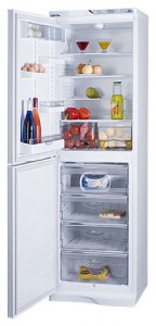 ATLANT МХМ 1848-00 Refrigerator larawan, katangian