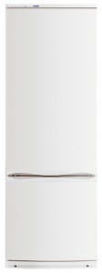 ATLANT ХМ 6020-031 Tủ lạnh ảnh, đặc điểm