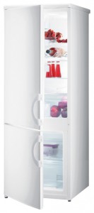Gorenje RK 4151 AW Refrigerator larawan, katangian