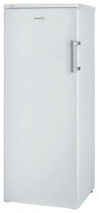 Candy CFU 1900 E Refrigerator larawan, katangian