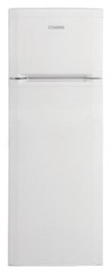 BEKO DS 227010 Refrigerator larawan, katangian