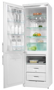 Electrolux ERB 3598 W Refrigerator larawan, katangian
