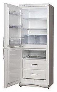 Snaige RF300-1801A Холодильник Фото, характеристики