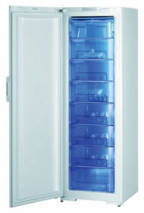Gorenje F 60300 DW Tủ lạnh ảnh, đặc điểm