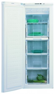 BEKO FNE 19400 Refrigerator larawan, katangian
