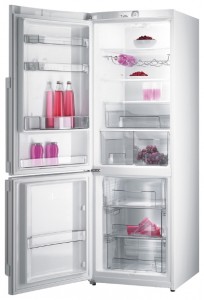 Gorenje RK 68 SYW Холодильник Фото, характеристики