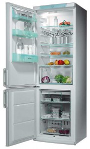 Electrolux ERB 3651 Refrigerator larawan, katangian