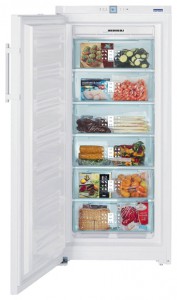 Liebherr GNP 3166 Tủ lạnh ảnh, đặc điểm