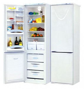 NORD 183-7-050 Refrigerator larawan, katangian