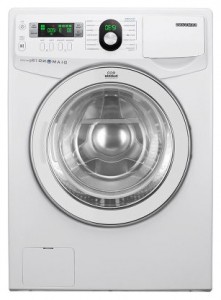 Samsung WF1702YQC वॉशिंग मशीन तस्वीर, विशेषताएँ